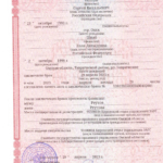 Свидетельство о браке - Реутова Элла Давыдовна