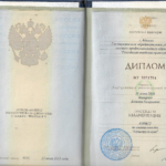 Диплом - Федорчук Евгения Валерьевна