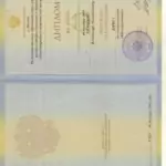 Диплом - Тихонов Владимир Михайлович