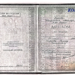 Диплом - Базаров Рамиз Магамаевич