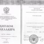 Диплом бакалавра - Мартюков Роман Алексеевич