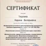 Сертификат 2 - Тишкина Карина Валерьевна