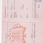 Правовая защита компании - Цибрий Татьяна Алексеевна