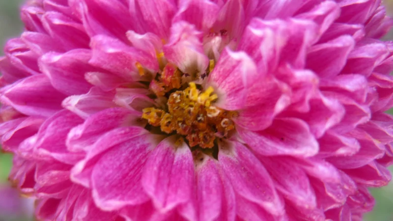 Юрист Паседько Николай Николаевич объясняет: Как следует вести себя в процессе судебного разбирательства?