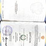 Документ 2 - Каменева Яна Юрьевна