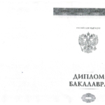 Диплом: Владивостокский филиал Российской таможенной академии, 2015 — Исаев Р.С.