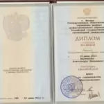 Диплом - Мартынов Александр Иванович