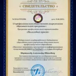Свидетельство - Мартынов Александр Иванович