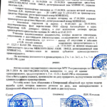 Решение - Каменева Яна Юрьевна