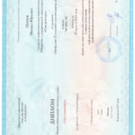 Диплом Сисадмин Linux - Шевцов Михаил Юрьевич