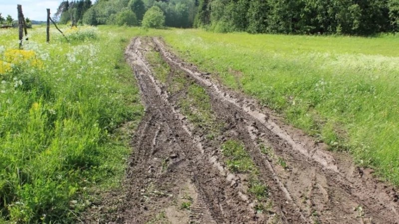 Юрист Гефтман Андрей Владимирович объясняет: Защищены права ребенка войны