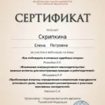 Сертификат 30.01.25 - Скрипкина Елена Петровна