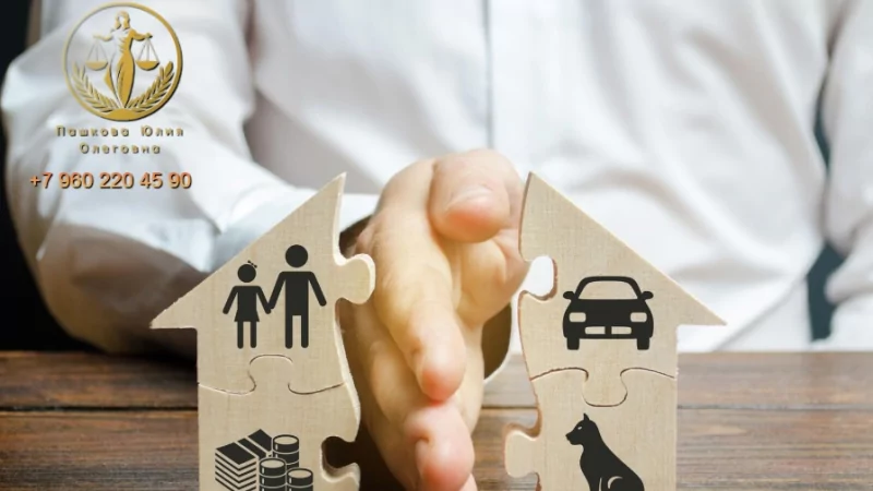 Юрист Пашкова Юлия Олеговна объясняет: Раздел имущества