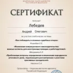 Сертификат 6 часов фпа - Лебедев Андрей Олегович