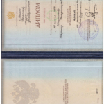 Диплом Шкуратов В.В. - Шкуратов Вадим Владимирович