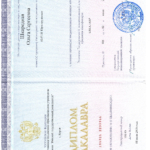 Диплом о высшем образовании ФГБОУ ВО «ВГУ» - Шкаредная Ольга Сергеевна