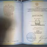 Диплом - Шепелев Станислав Валерьевич