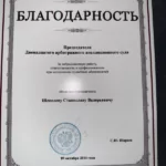 Благодарность 1 - Шепелев Станислав Валерьевич