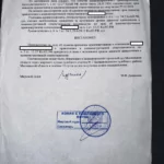 Решение 2 - Шепелев Станислав Валерьевич