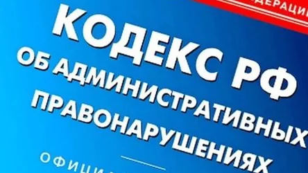 Внесение практики КС РФ по судопроизводствам об АП в 2024 г.