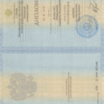 Диплом - Куценок Екатерина Александровна