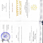 Копия диплома - Федотова Елена Сергеевна