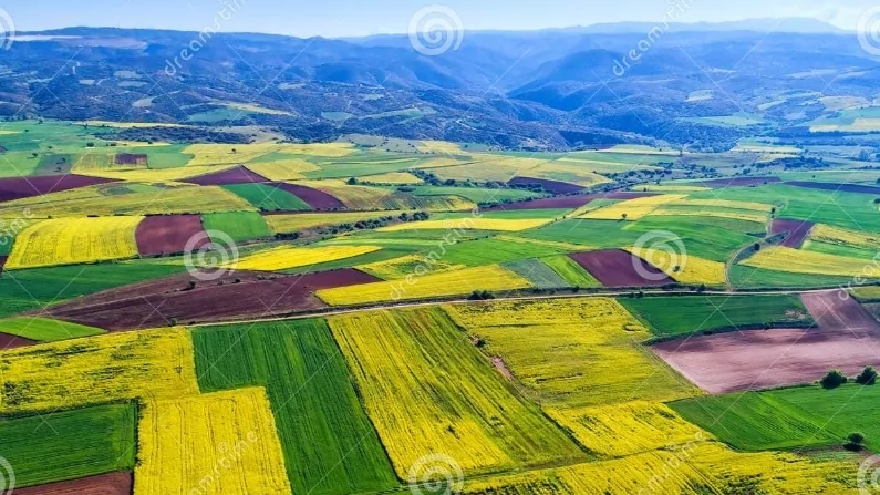 Юрист Шарина Юлия Сергеевна объясняет: С 01.03.2025г. вводится новый порядок регистрации сделок с земельными участками