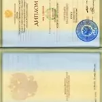 Диплом КГУ - Андрей Витальевич Курочкин