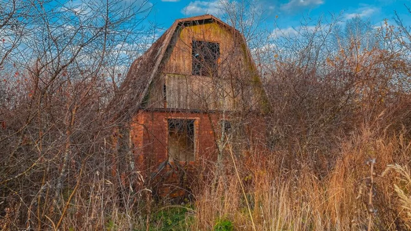 Юрист Ефимова Екатерина Юрьевна объясняет: Бесхозные земельные участки начнут изымать у граждан с 1 марта 2025 года