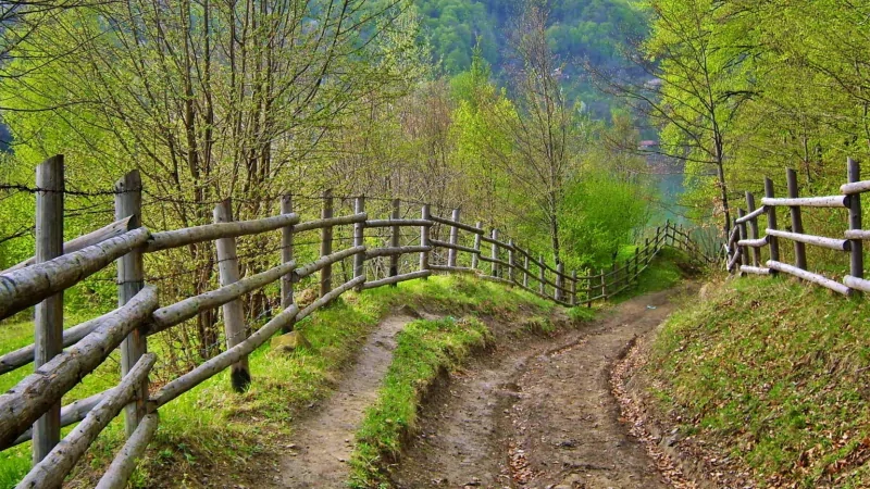 Юрист Кузнецова Светлана Васильевна объясняет: Особенности сделки купли-продажи загородного дома с участком по ипотеки