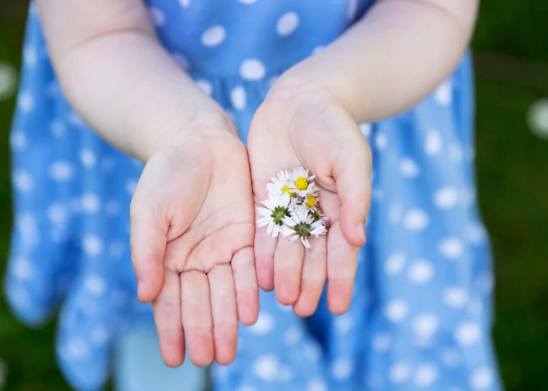 Юрист Луценко Вера Аркадьевна объясняет: “Скрывает доходы? Узнайте, как увеличить алименты на ребенка!”