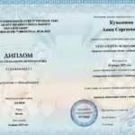 Диплом - Кувыкина Анна Сергеевна