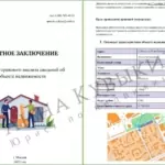 Экспертное заключение - Кувыкина Анна Сергеевна