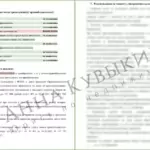 Экспертное заключение 3 - Кувыкина Анна Сергеевна