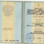 Диплом: Краснодарский Государственный Университет Культуры и Искусств, 2005 — Рябухин К.В.