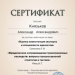 Сертификат 11.12.24 - Князьков Александр Александрович