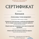 Сертификат 15.05.2024 - Князьков Александр Александрович