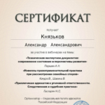 Сертификат 19.09.2024 - Князьков Александр Александрович