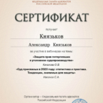 Сертификат 24.01.2024 - Князьков Александр Александрович