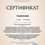 Сертификат 20.02.25 - Скрипкина Елена Петровна
