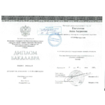 Диплом бакалавра Плешковой А.А. - Плешкова Анна Андреевна