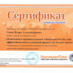 Изменения в процессуальном законодательстве - Гейне Игорь Александрович