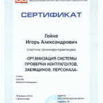 Организация системы - Гейне Игорь Александрович