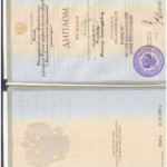 Диплом - Хомяков Максим Александрович