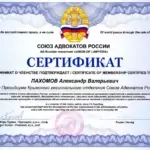 Сертификат - Пахомов Александр Валерьевич