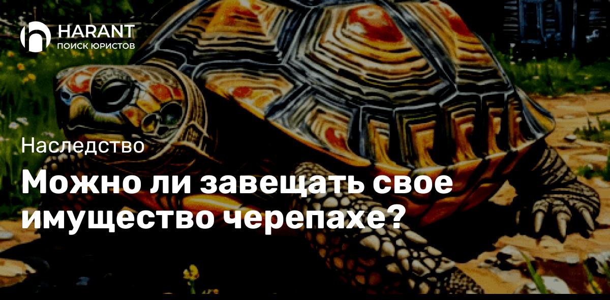 Можно ли завещать свое имущество черепахе?