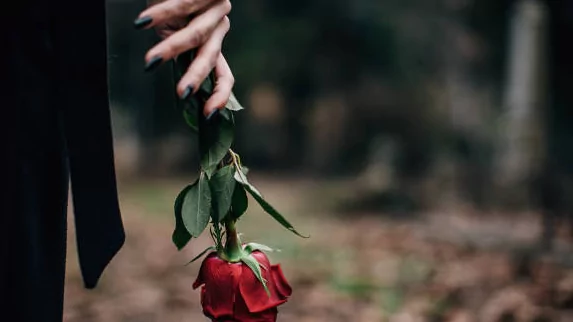 Юрист Айвазян Артем Тимурович объясняет: Смерть директора: Как вдова отсудила зарплату мужа в Верховном Суде?