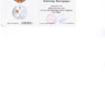 моя медаль - Винарев Владимир Викторович