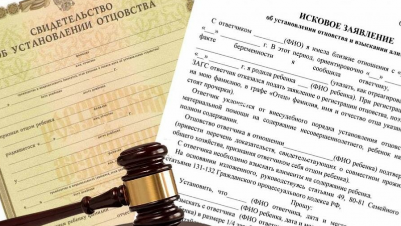 Юрист Чорба Анна Николаевна объясняет: Установление отцовства в судебном порядке