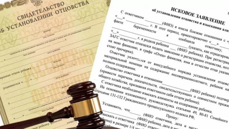 Юрист Чорба Анна Николаевна объясняет: Установление отцовства в судебном порядке